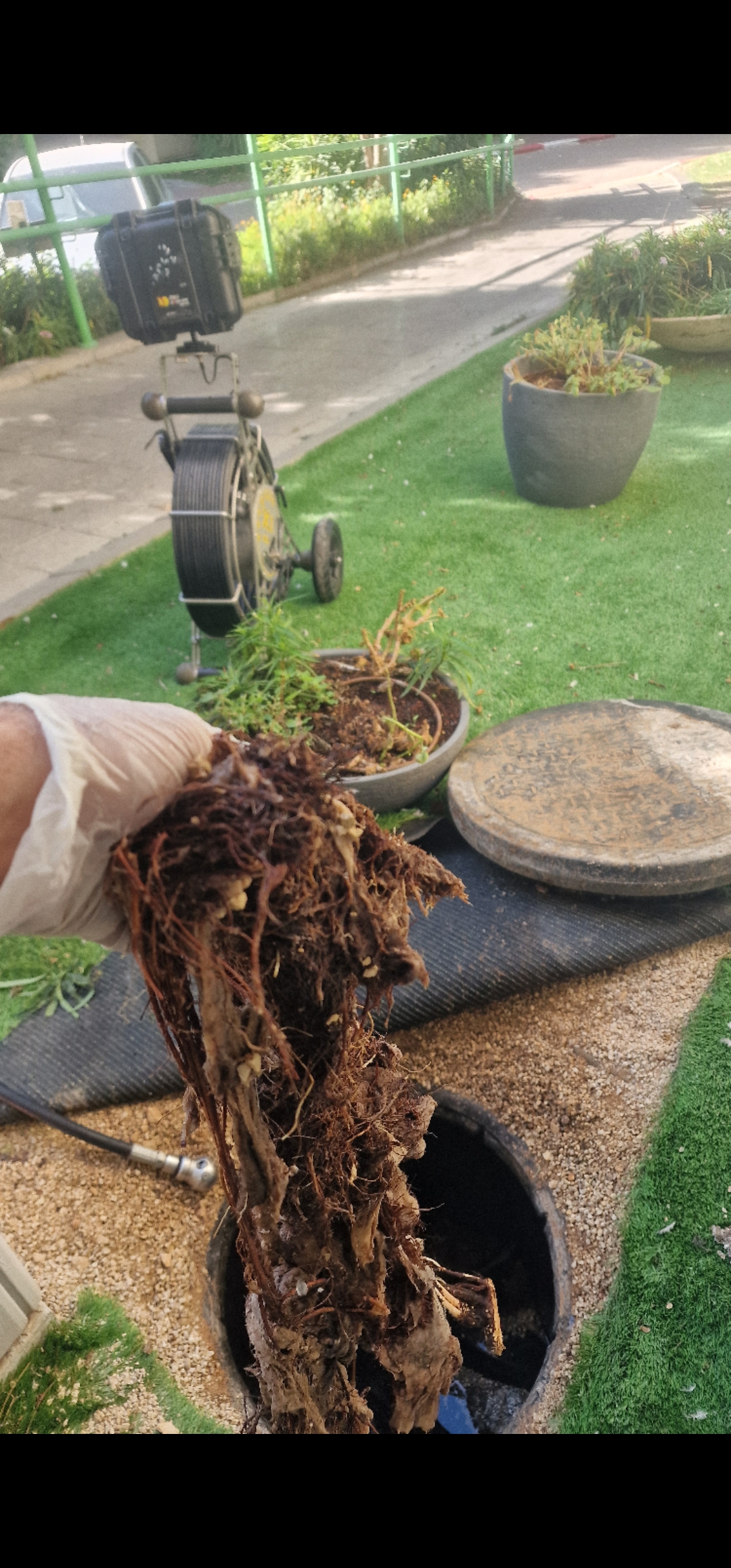 ניקוי שורשים בביוב